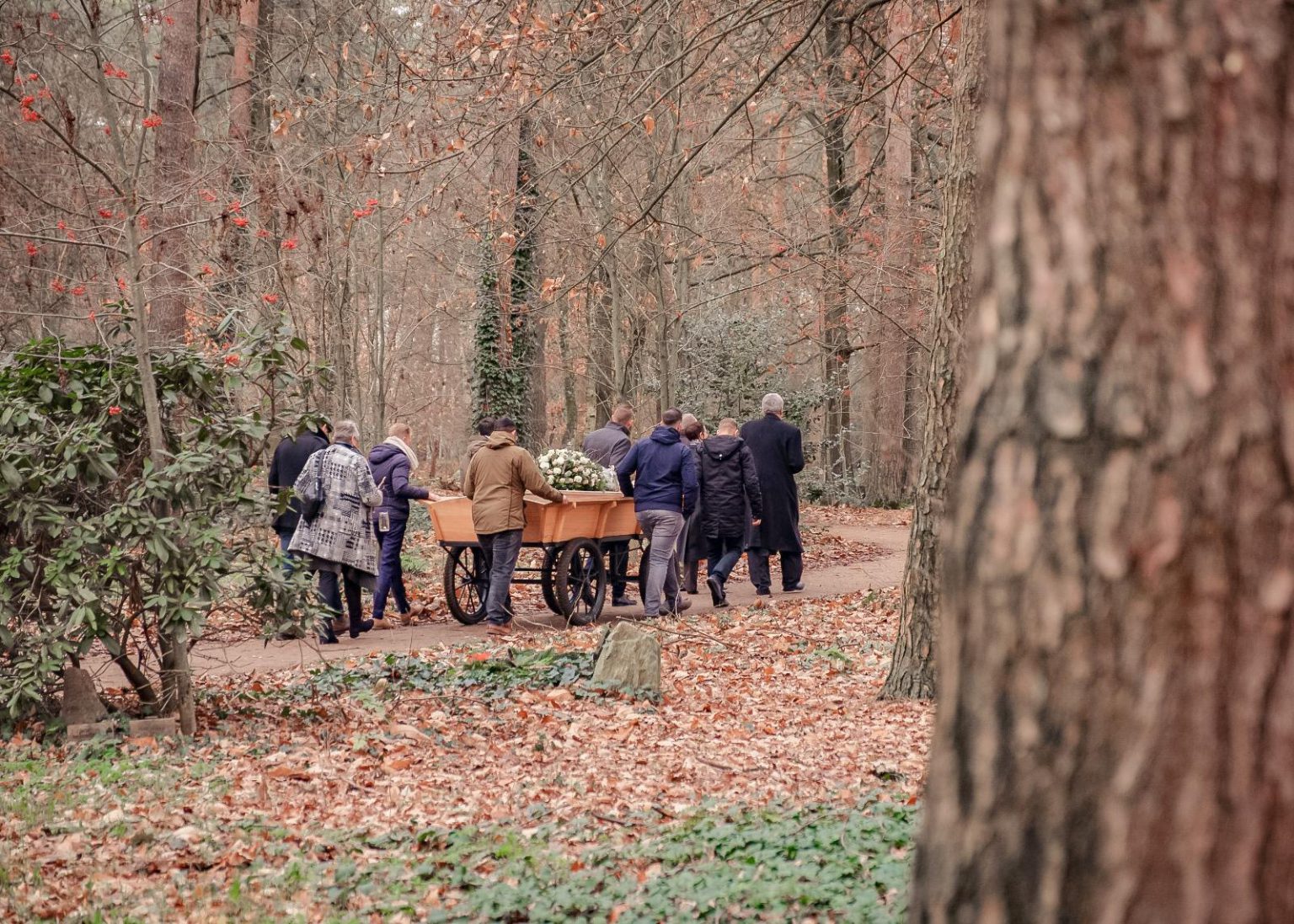 Natuur begraafplaats Bergerbos Natuur begraafplaats Bergerbos